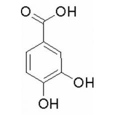 原儿茶酸分析标准品,HPLC≥98%