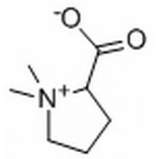 水苏碱分析标准品,HPLC≥98%