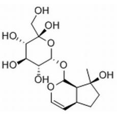 益母草苷分析标准品,HPLC≥98%