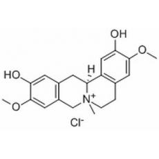 盐酸黄柏碱分析标准品,HPLC≥98%