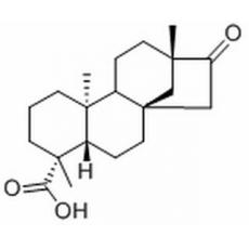 异甜菊醇分析标准品,HPLC≥98%