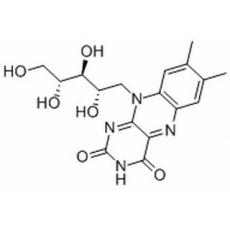 维生素B2分析标准品,HPLC≥99%