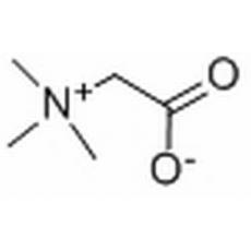 甜菜碱分析标准品,HPLC≥98%