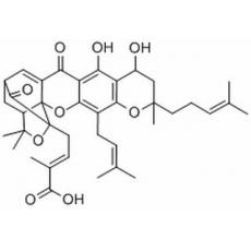 新藤黄酸分析标准品,HPLC≥98%