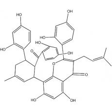 桑黄酮G分析标准品,HPLC≥97%