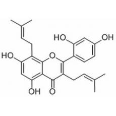 桑皮黄素分析标准品,HPLC≥98%