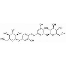 桑皮苷A分析标准品,HPLC≥98%
