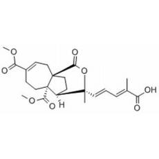 土荆皮乙酸分析标准品,HPLC≥98%