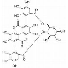 石榴皮鞣素分析标准品,HPLC≥98%