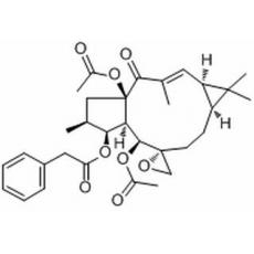 千金子甾醇分析标准品,HPLC≥98%
