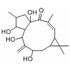 7-羟基千金子二萜醇分析标准品,HPLC≥98%