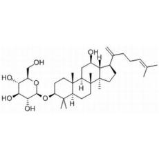 人参皂苷Rk2分析标准品,HPLC≥98%