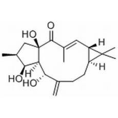 千金子二萜醇分析标准品,HPLC≥98%