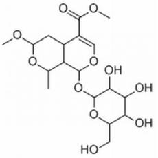 7-O-甲基莫诺苷分析标准品,HPLC≥98%