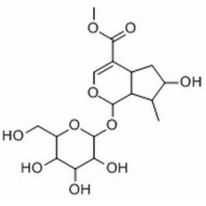 马钱苷分析标准品,HPLC≥98%
