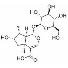 马钱苷酸分析标准品,HPLC≥98%