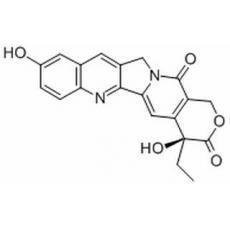 10-S-羟基喜树碱分析标准品,HPLC≥98%