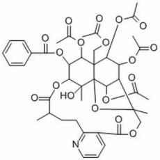 雷公藤次碱分析标准品,HPLC≥98%