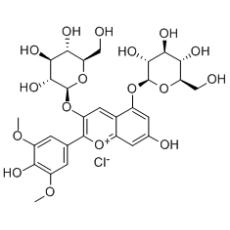 氯化锦葵色素苷分析标准品,HPLC≥95%