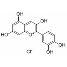 氯化矢车菊素分析标准品,HPLC≥98%