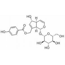 穗花牡荆苷分析标准品,HPLC≥98%