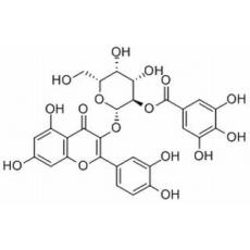2”-O-没食子酰基金丝桃苷分析标准品,HPLC≥98%