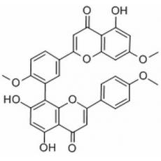 金松双黄酮分析标准品,HPLC≥98%