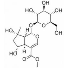 山栀苷甲酯分析标准品,HPLC≥98%