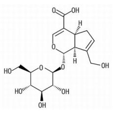 京尼平苷酸分析标准品,HPLC≥98%