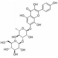 红景天素分析标准品,HPLC≥98%