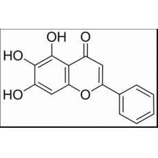 黄芩素分析标准品,HPLC≥98%