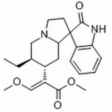 钩藤碱分析标准品,HPLC≥98%