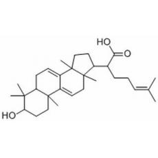 松苓新酸分析标准品,HPLC≥98%