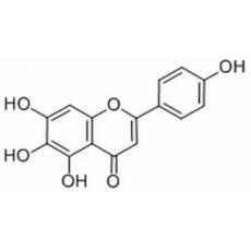 野黄芩素分析标准品,HPLC≥98%