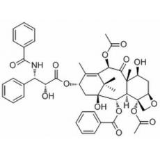 紫杉醇分析标准品,HPLC≥98%