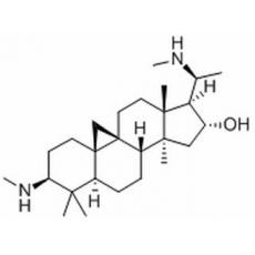 黄杨碱分析标准品,T≥99%