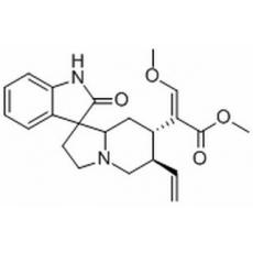 去氢钩藤碱分析标准品,HPLC≥98%