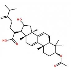 去氢茯苓酸分析标准品,HPLC≥98%