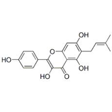 甘草黄酮醇分析标准品,HPLC≥98%