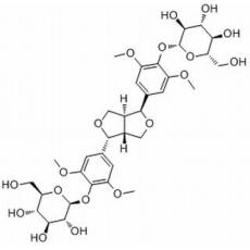 刺五加苷E分析标准品,HPLC≥98%