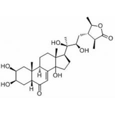 前杯苋甾酮分析标准品,HPLC≥96%