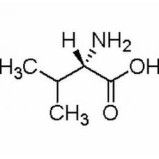 L-缬氨酸分析标准品,HPLC≥98%