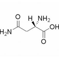 L-天冬酰胺分析标准品,HPLC≥98%