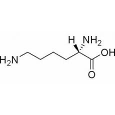 L-赖氨酸分析标准品,HPLC≥98%