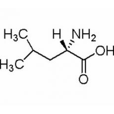 L-亮氨酸（白氨酸）分析标准品,HPLC≥98%