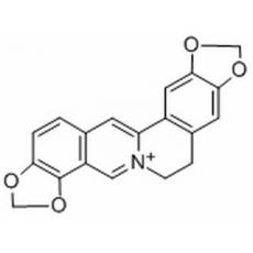 黄连碱分析标准品,HPLC≥98%