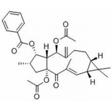 千金子二萜醇二乙酰苯甲酰酯分析标准品,HPLC≥98%