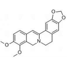 二氢小檗碱分析标准品,HPLC≥98%