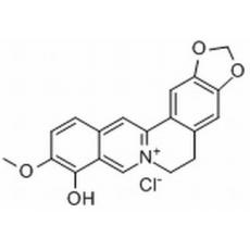 小檗红碱分析标准品,HPLC≥98%