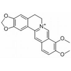 小檗碱分析标准品,HPLC≥98%